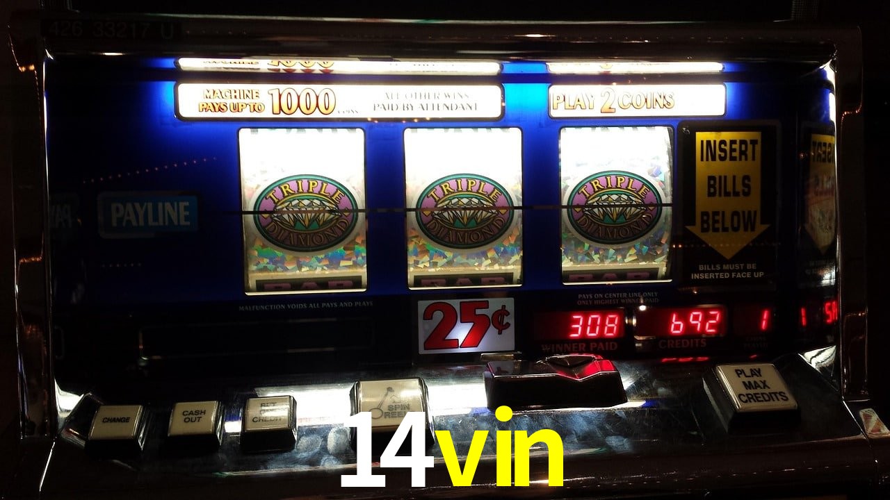 Welcome Bonus 14vin