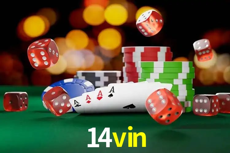 14vin São Paulo - Jogo Providers