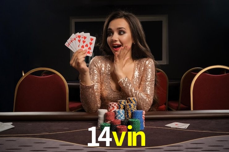 Programa VIP 14vin