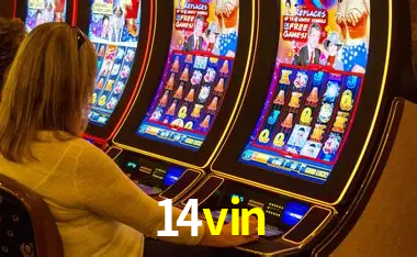 14vin Curitiba - Live Status